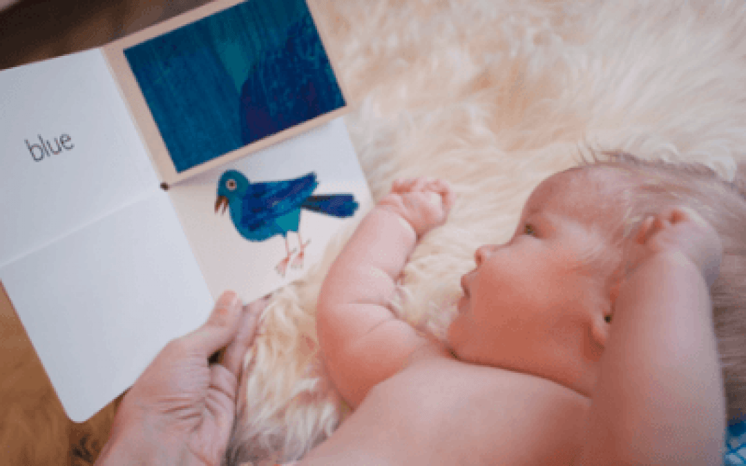 E-Conference Gratuita: Leer con bebés