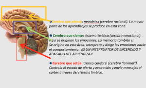 esquema
